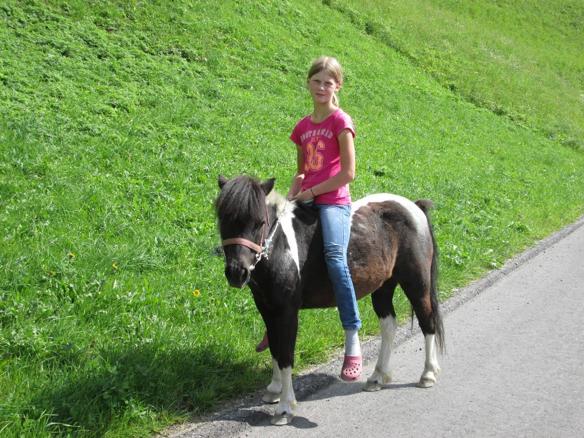 Ferienhaus Resinger Matrei in Osttirol Eksteriør billede